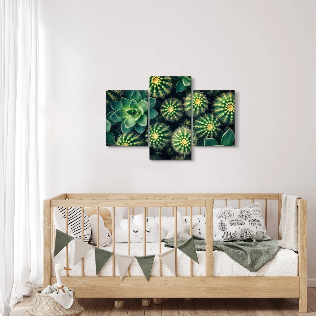 Kép - Kaktuszok (90x60 cm)