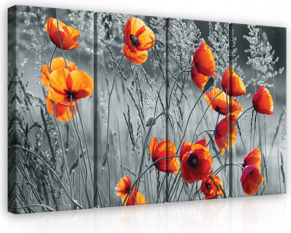 Vászonkép 120x80 Pipacsok nyári mező piros kontraszt természet otthon energia