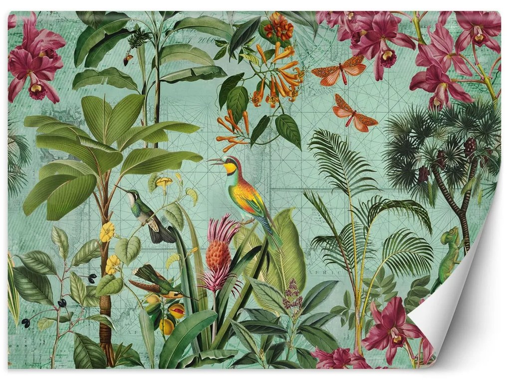 Gario Fotótapéta Madarak a trópusi levelekben - Andrea Haase Anyag: Vlies, Méret: 100 x 70 cm