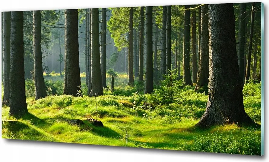 Fotó üvegkép Tengeri szem Tátra 125x50