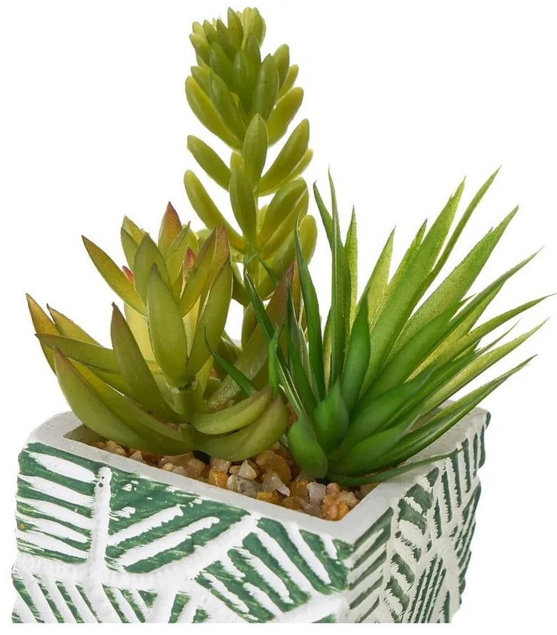 Műnövény szett 3 db-os (magasság 12 cm) Cactus – Casa Selección