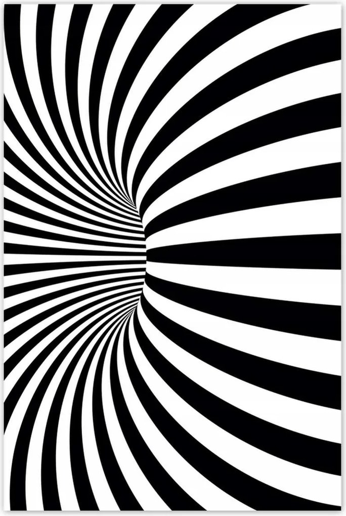 Poszterek 80x120 Absztrakt fekete-fehér