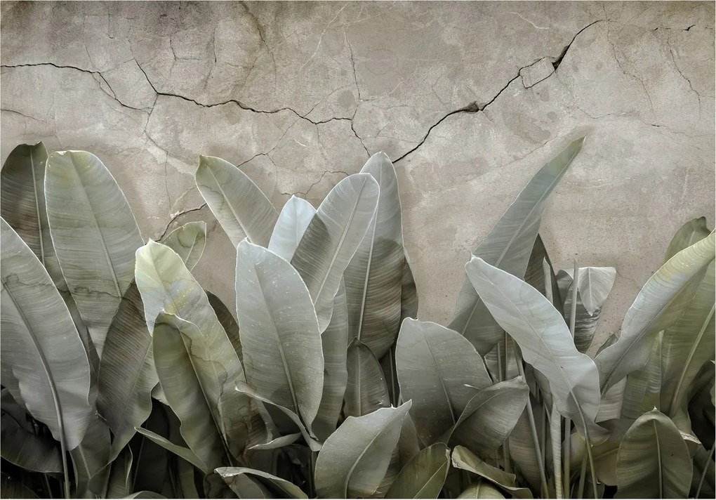 3D Banánlevél fotótapéta hálószobába 312x219