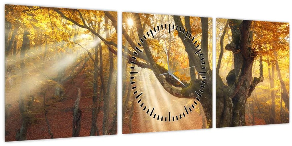 Kép - Őszi fény (órával) (90x30 cm)