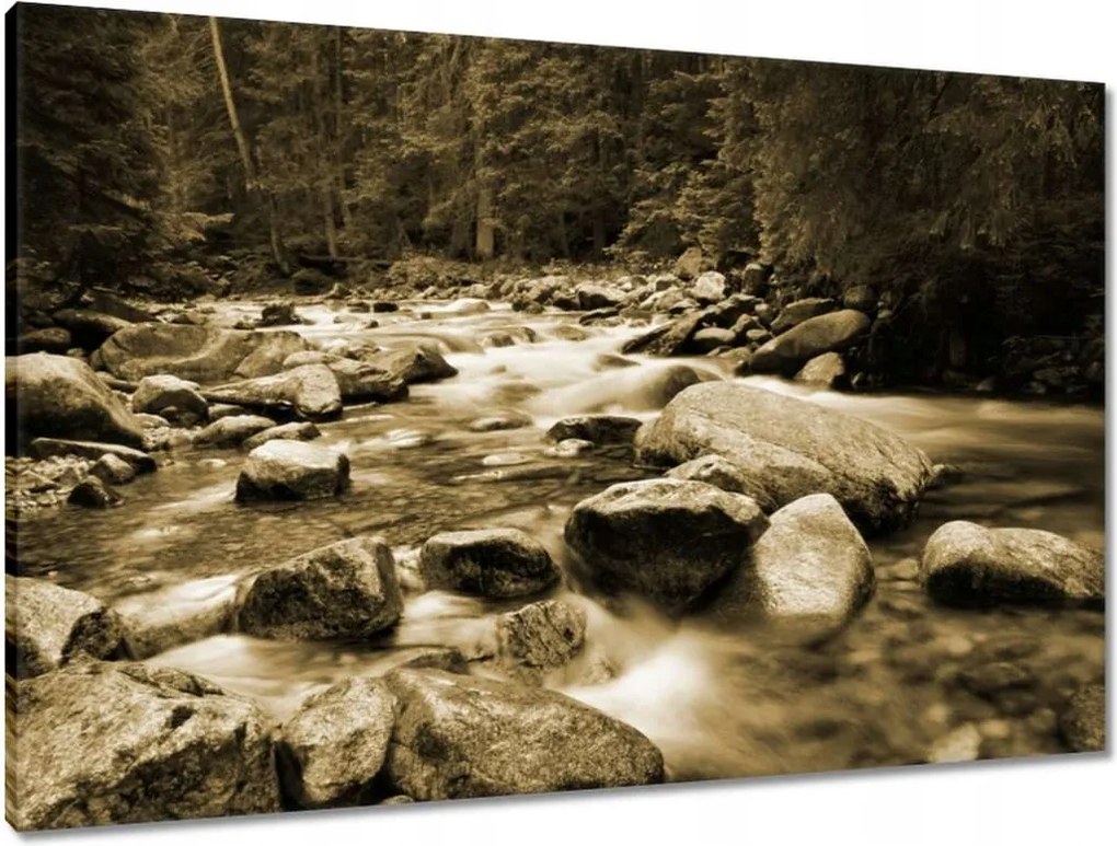 Vászonkép 90x60 Tátra Lengyel hegyek Kilátás