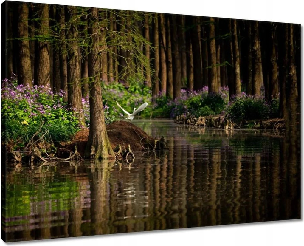 Vászonkép 70x50 Tájkép Látvány