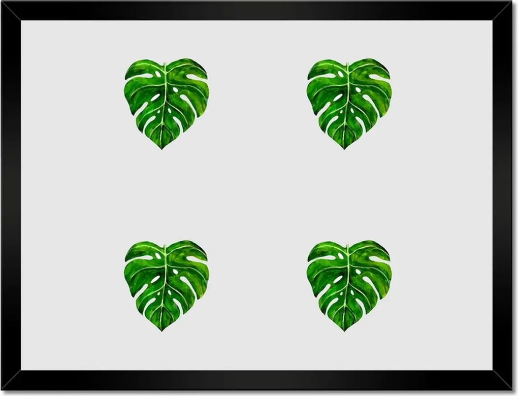 Poszter keretben 40x30 Monstera lyukas levelek