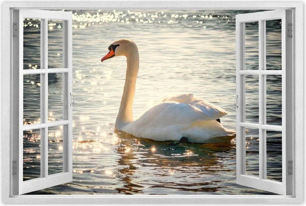 Poszterek 120x80 Hattyú a tavon