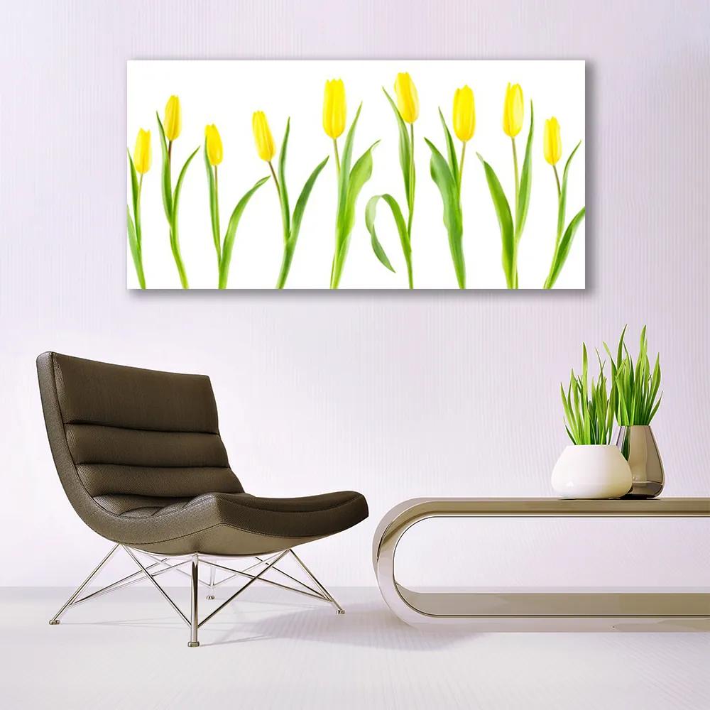 Vászonkép Tulipán sárga virágok 100x50 cm