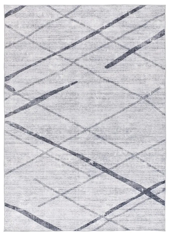 Világosszürke szőnyeg 160x230 cm Class – Universal
