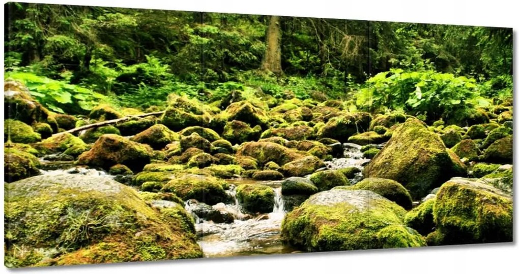 Képek 120x60 Tátra Lengyel hegyek Kilátás