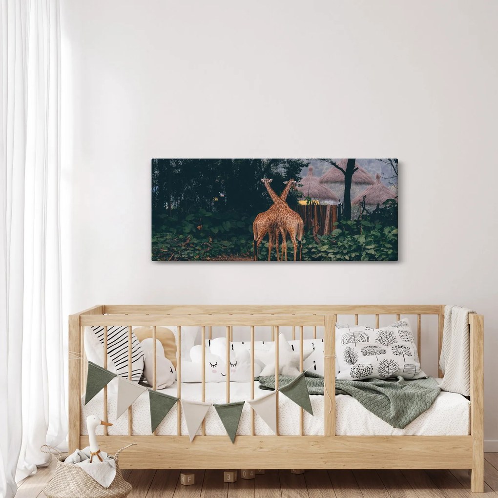 Két zsiráf képe (120x50 cm)