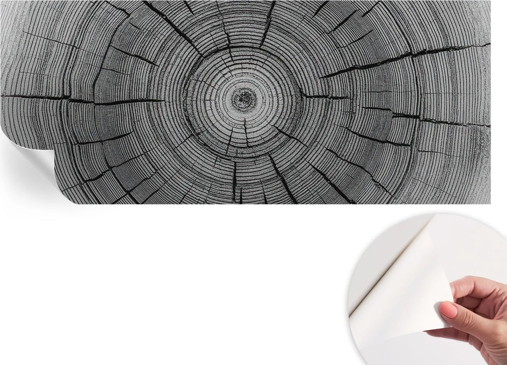 Fotótapéta Fali tapéta Hálószobába és Nappaliba Erdei harmónia 250x104 cm