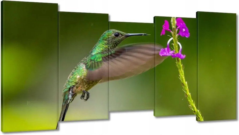 Vászonkép 150x80 Madarak