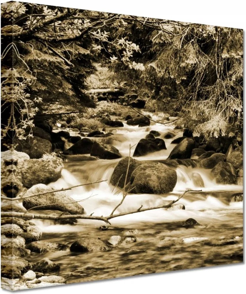 Vászonkép 60x60 Tátra Lengyel hegyek Kilátás