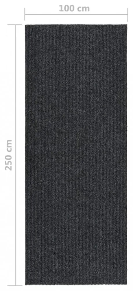 antracitszürke koszfogó futószőnyeg 100 x 250 cm