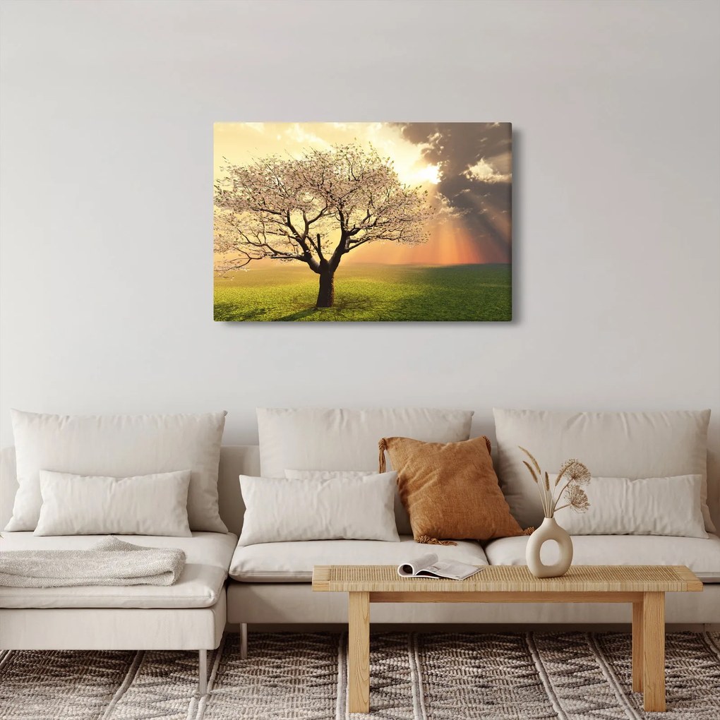 Fa képe a réten (90x60 cm)