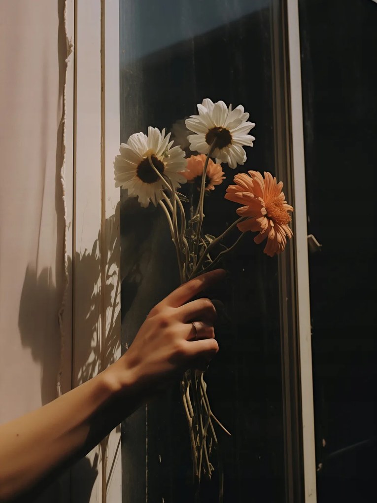 Poszter 60x80cm Sugár és szirmok