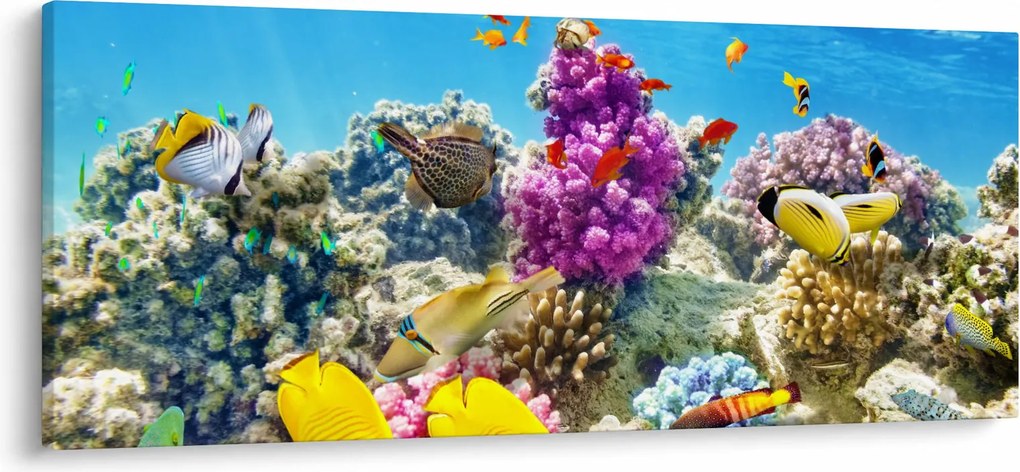 Kép - A tenger világa (120x50 cm)