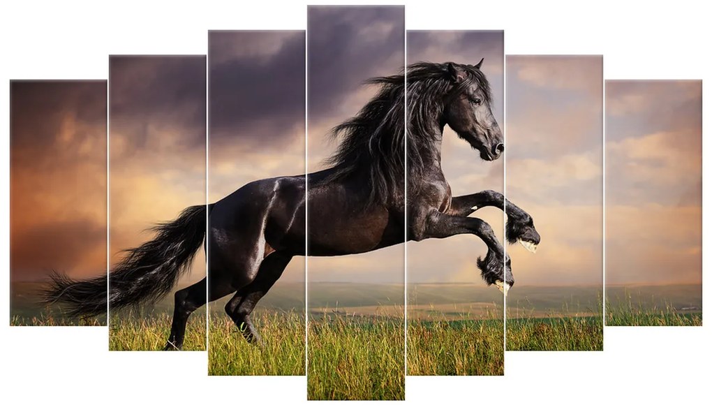 Gario Vászonkép Eros fekete ló - 7 részes Méret: 210 x 100 cm