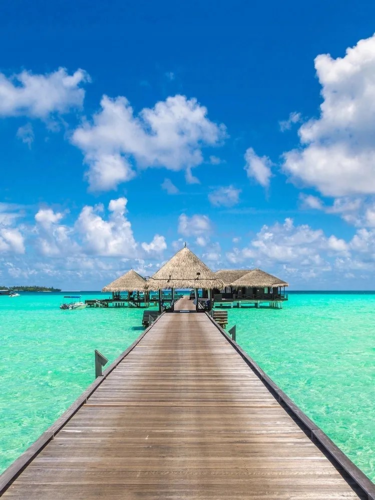 Fotótapéta Függőleges tenger tengerpart falfestmény Ragasztó Ajándék 184 x 254