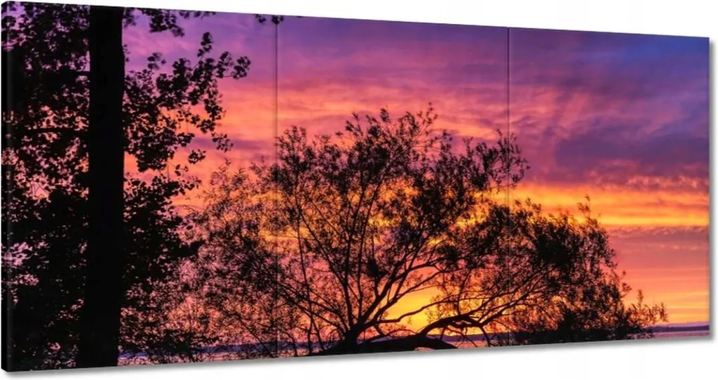 Vászonkép 180x90 Tó Fa Nyugat