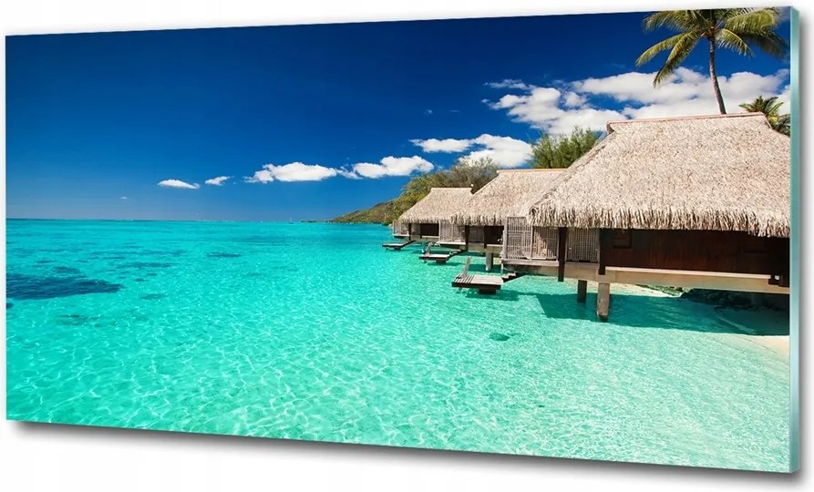 Fotó kép edzett üveg Fű a parkban 125x50