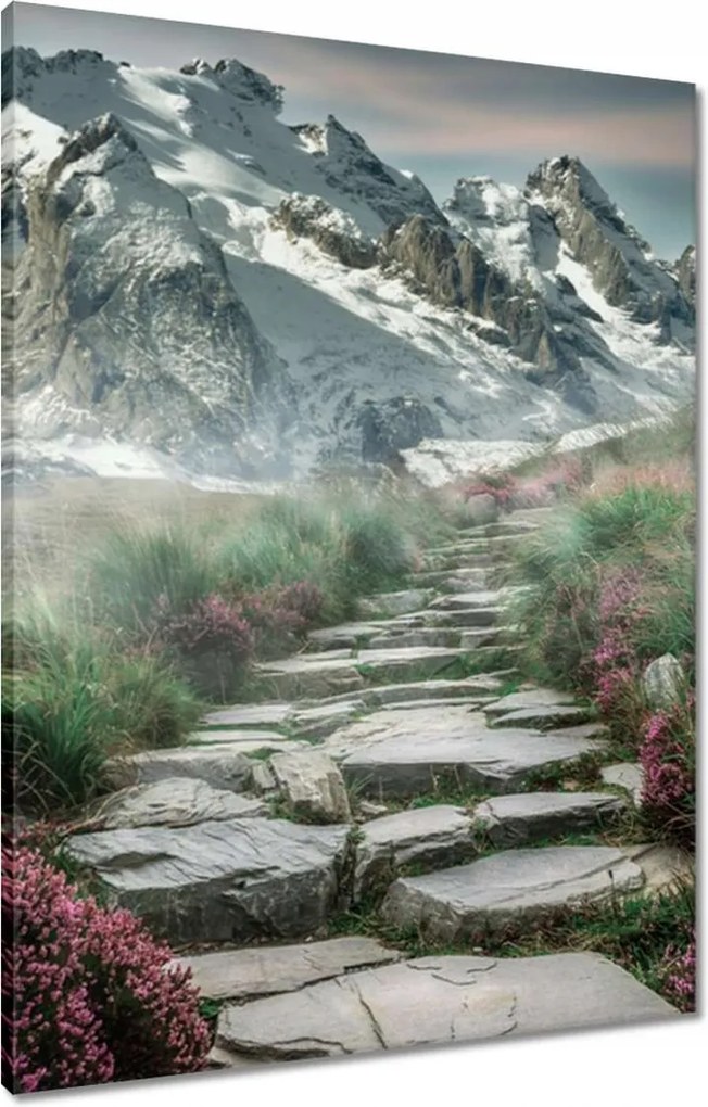 Vászonkép 60x80 Hegyi kilátás Tájkép Köd