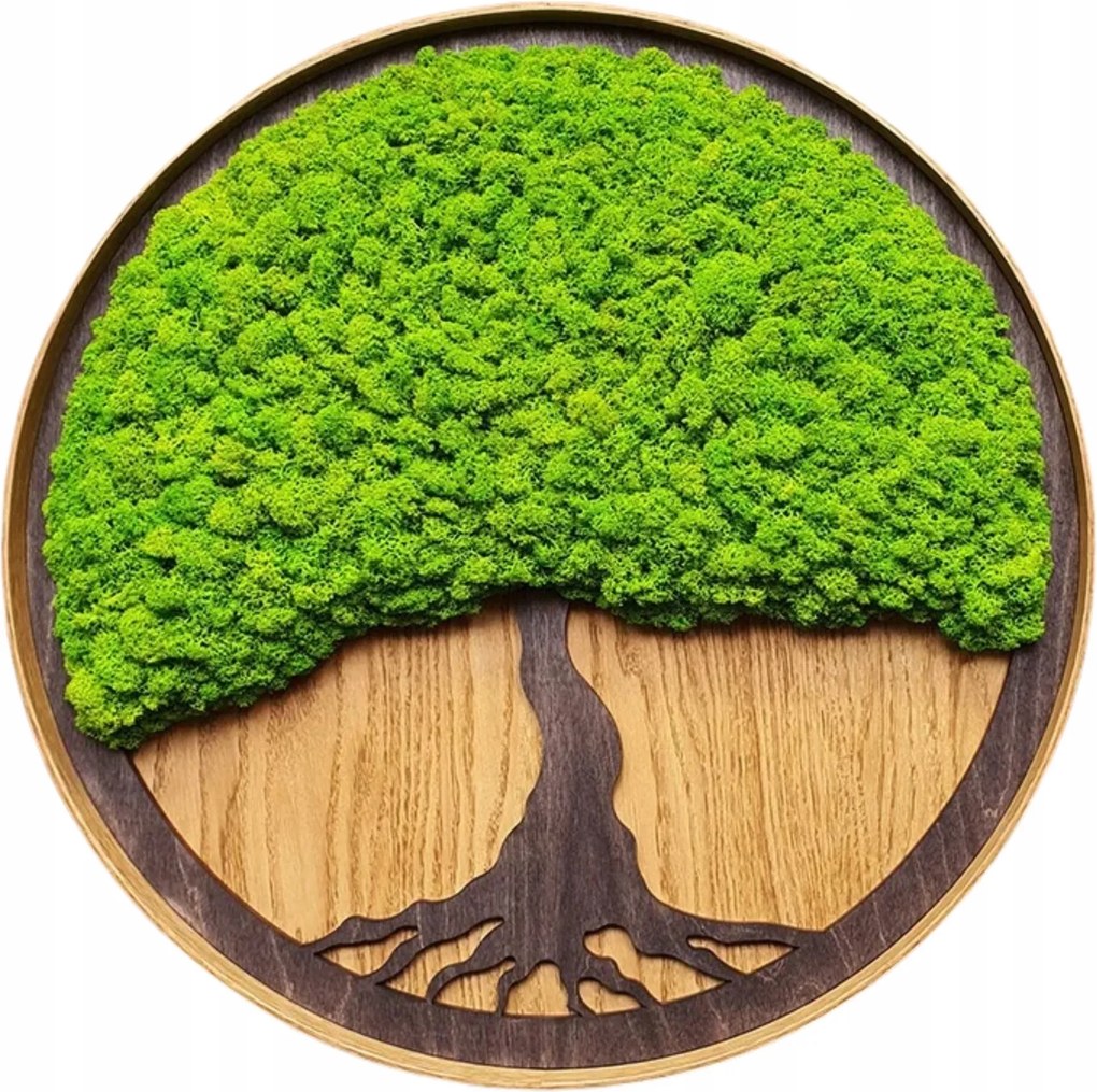 Moha kép Moha Krobot Tölgyfa keretben nagy 50cm Élő Fa kép XL