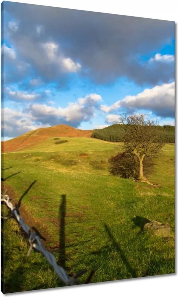 Vászonkép 70x100 Tájkép réttel