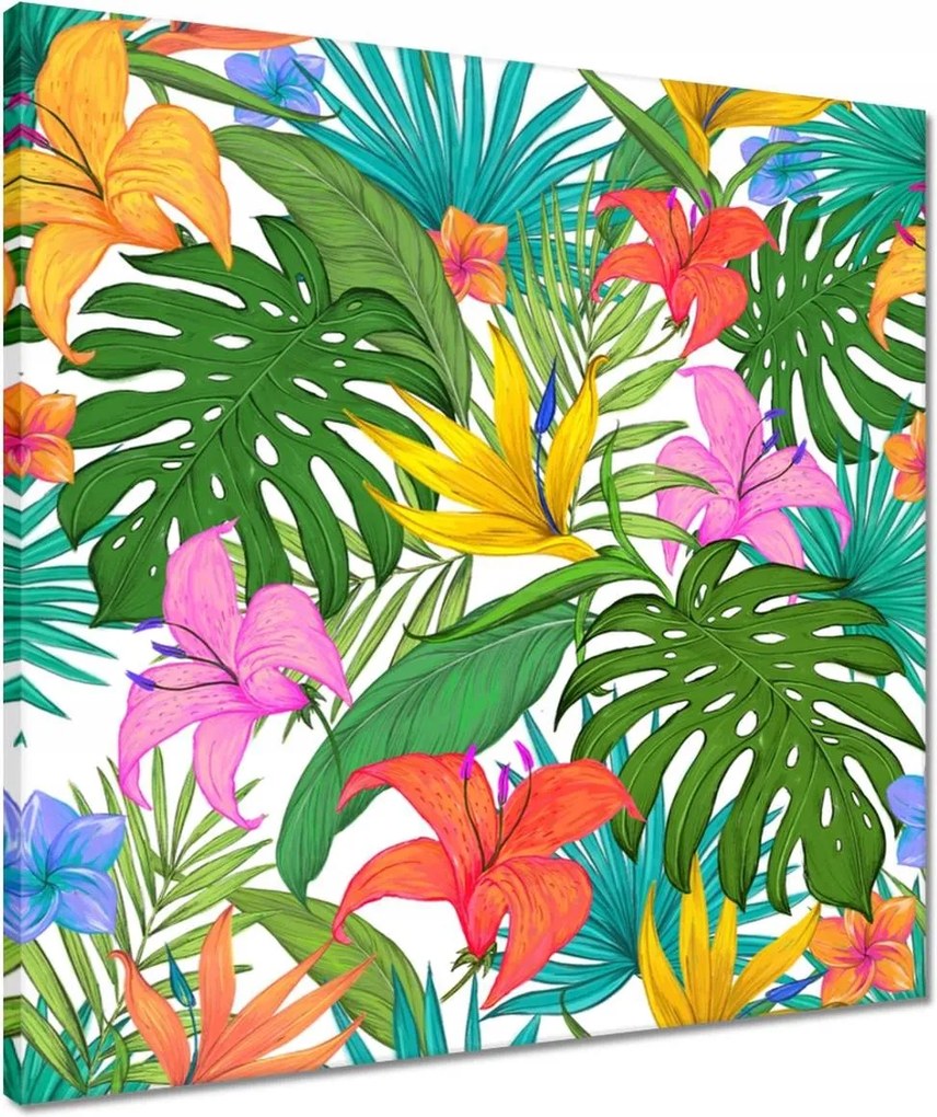 Vászonkép 50x50 Trópusi levelek Leaves