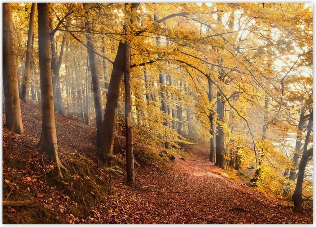 Poszterek 70x50 Tájkép Látvány