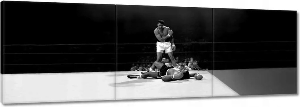 Vászonkép 60x20 Muhammad Ali Boxer Harc