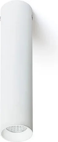 RENDL RIGA 18 stropní bílá 230V LED 4W 38° 3000K