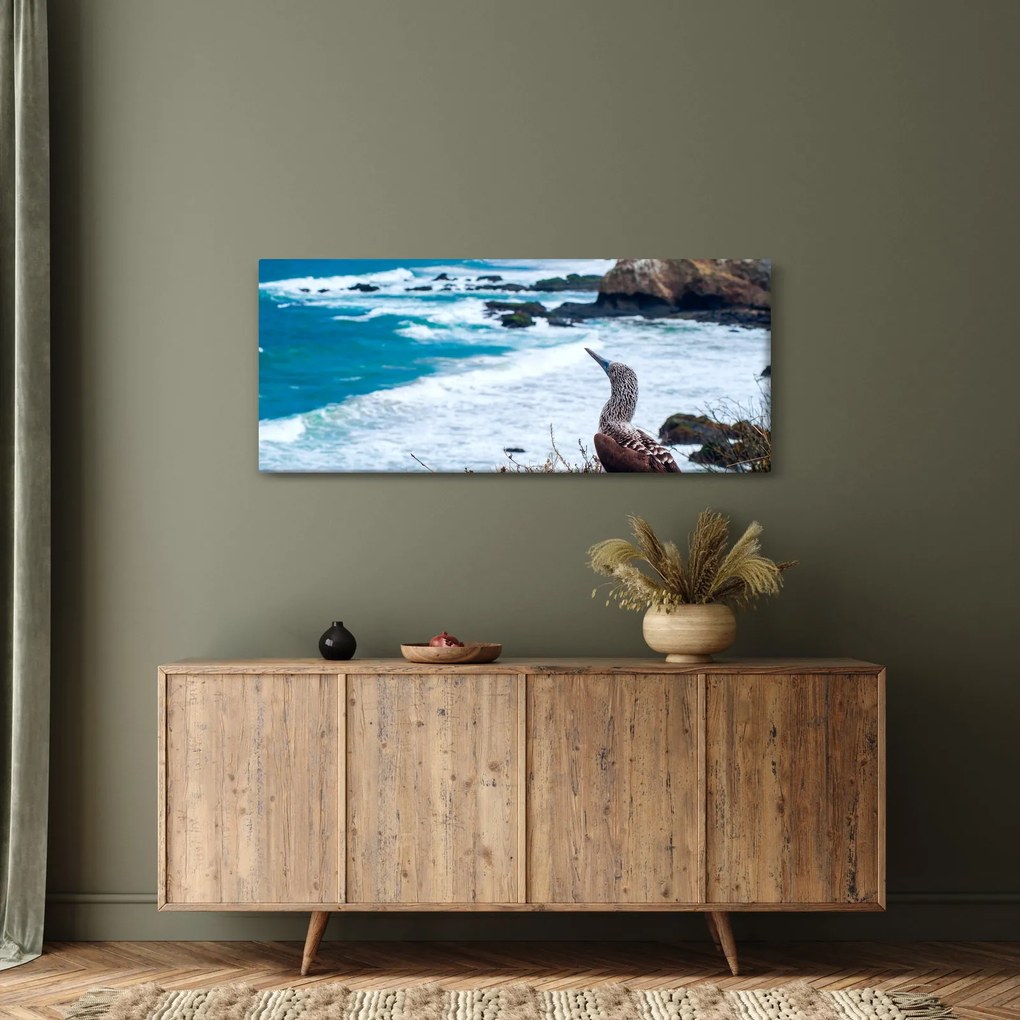 Kép - Kéklábú szula (120x50 cm)
