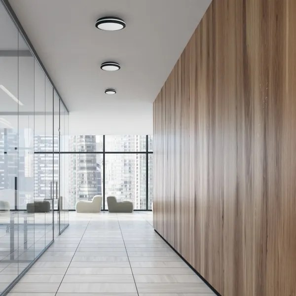 LED Kültéri mennyezeti lámpa MARLON LED/36W/230V 4000K IP54 fekete