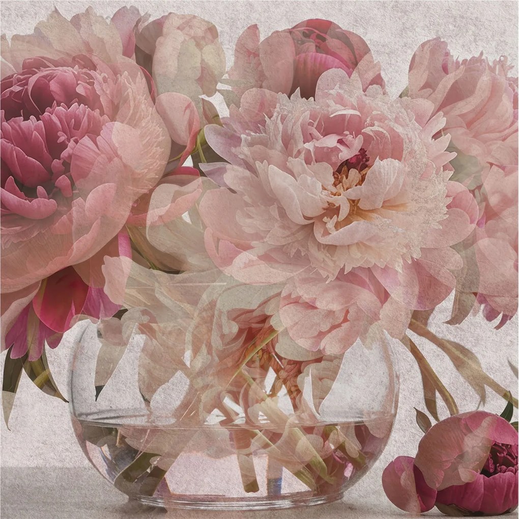 Flizelin tapéta Divatos 3D fali ragasztóval Bazsarózsa fekete 250x250 Ragasztó