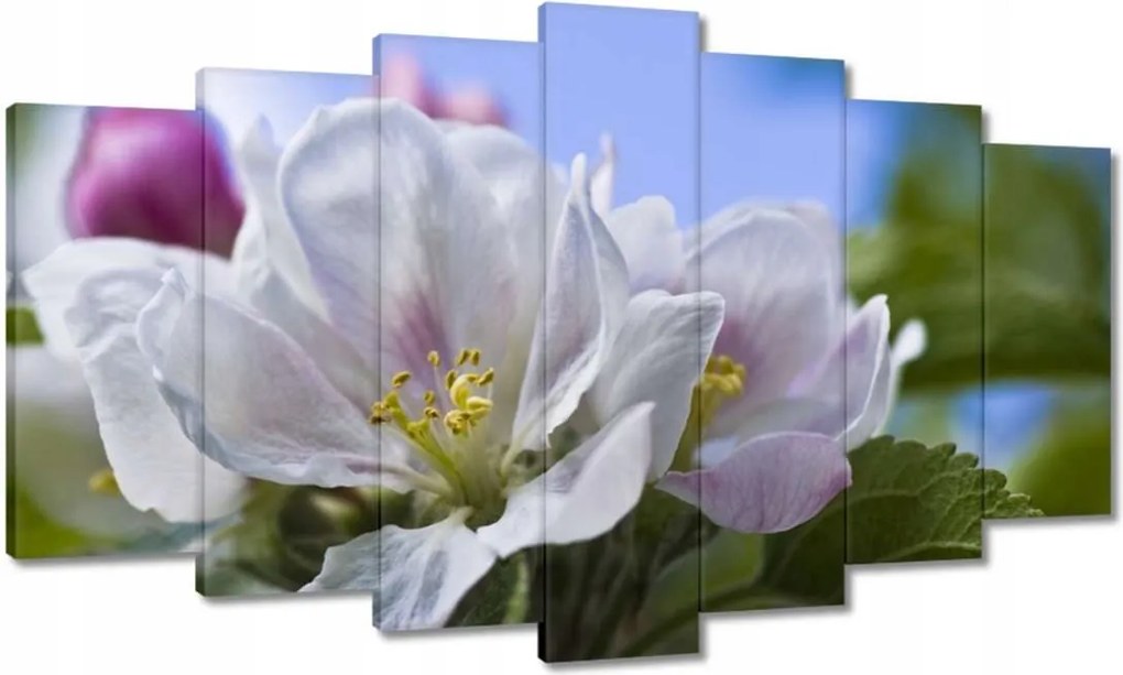 Vászonkép 140x80 Almafa virág