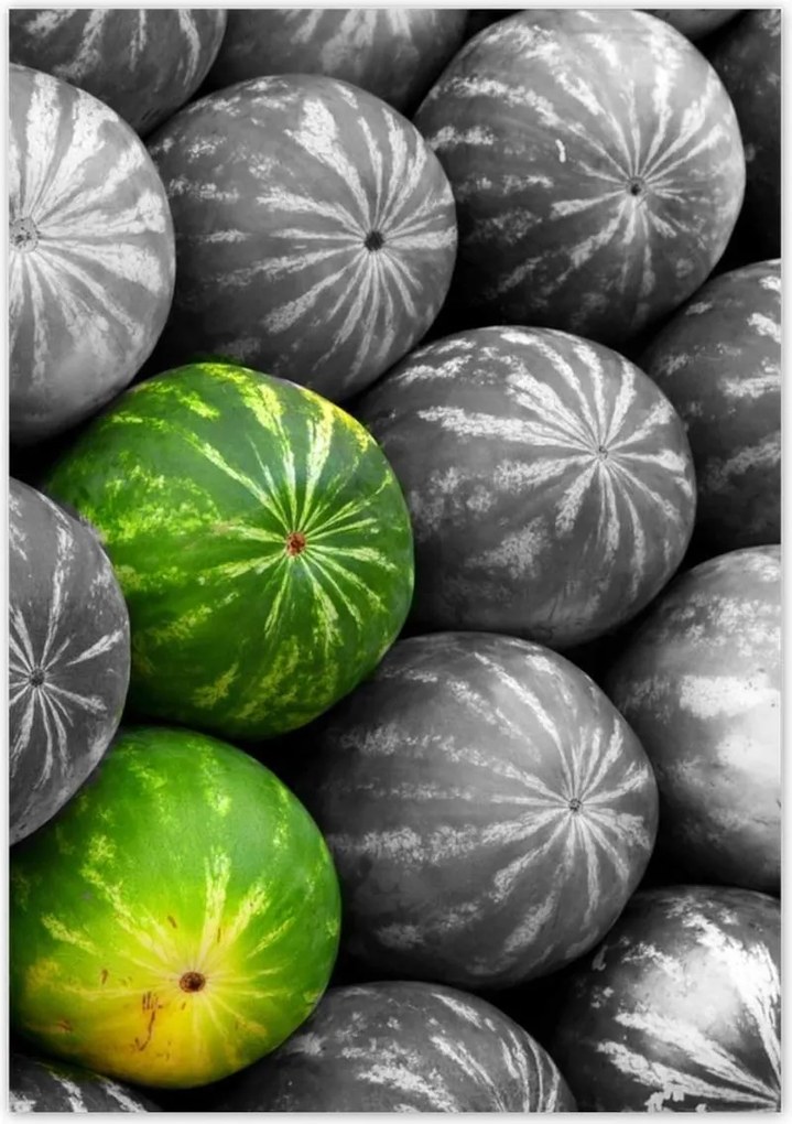 Poszterek 70x100 Három színes görögdinnye