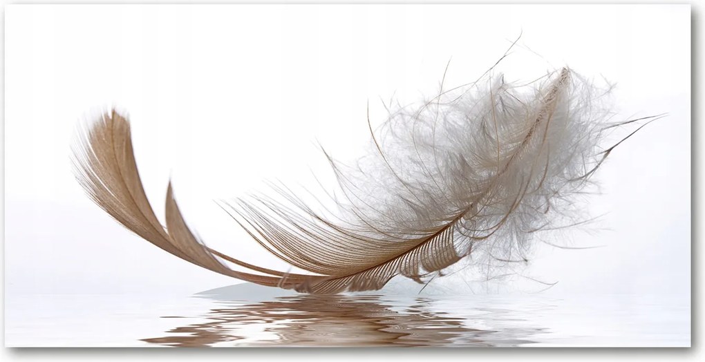 Fotó üvegkép Toll a vízen 140x70