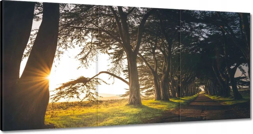 Festmények 120x60 Tájkép Látvány