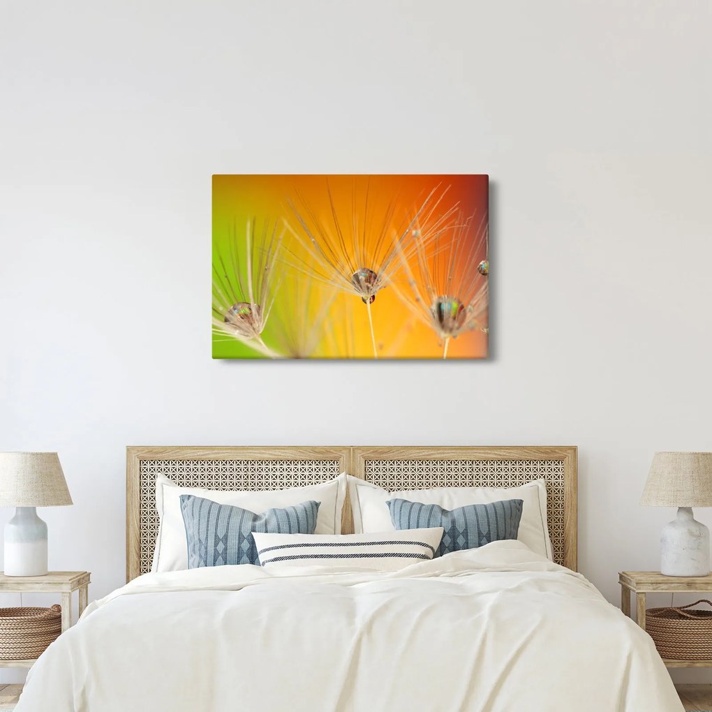 Cseppek a növényen képe (90x60 cm)