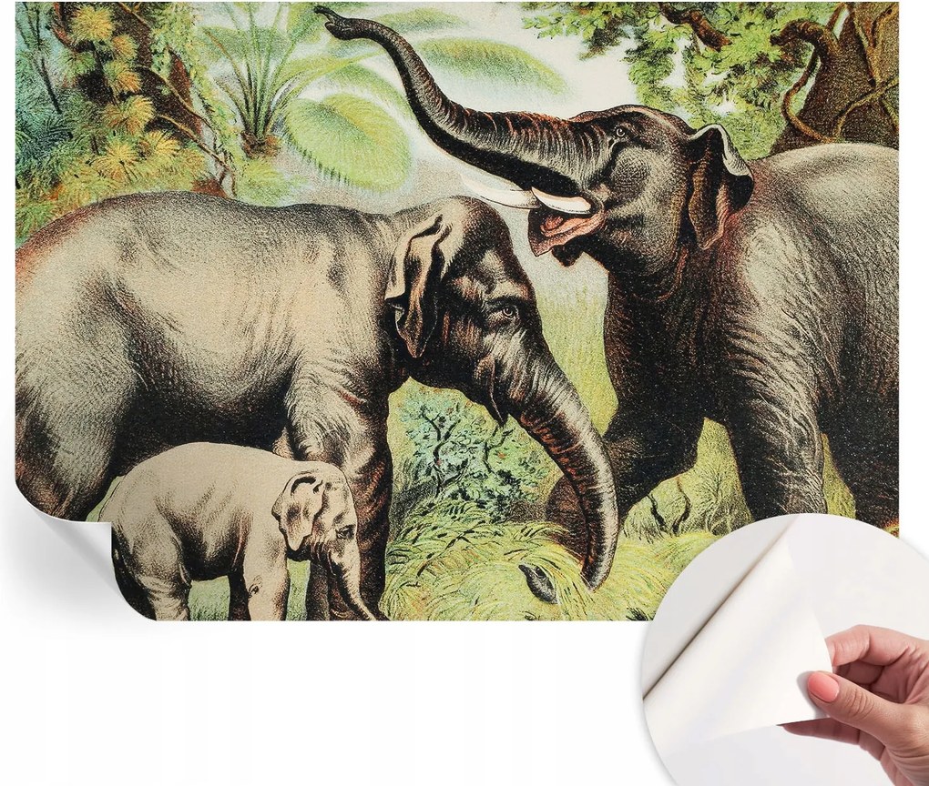 Öntapadós tapéta Fali furnér 3D hatás Családi elefántok 312x219 cm