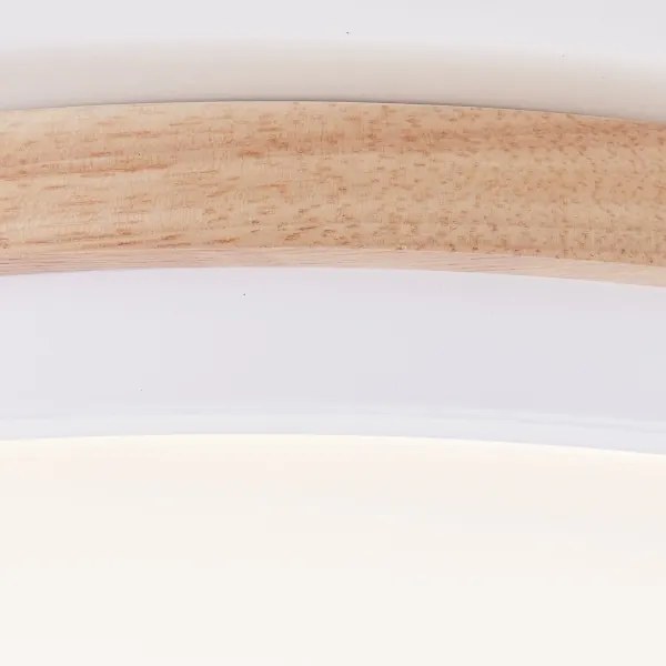 Brilliant - LED Dimmelhető mennyezeti lámpa BAARLO LED/24W/230V átm. 35 cm fehér