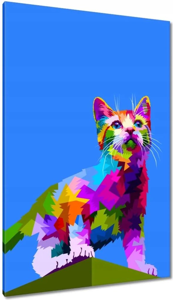 Vászonkép 80x120 Cica