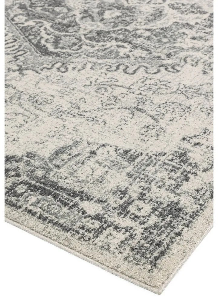 Szürke-krémszínű szőnyeg 200x290 cm Nova – Asiatic Carpets