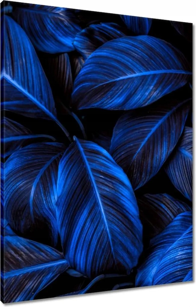 Vászonkép 60x80 Kék levelek