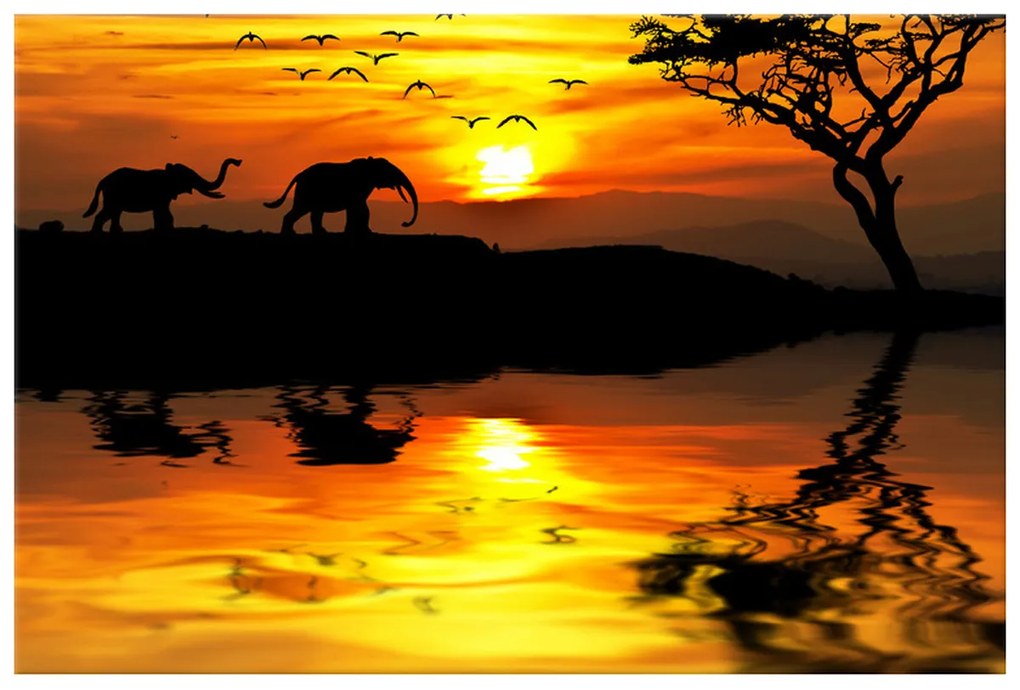 Gario Vászonkép Afrika Méret: 100 x 40 cm