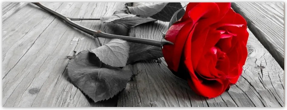 Fotótapéta flizelina 250x93 Rózsa a hídon