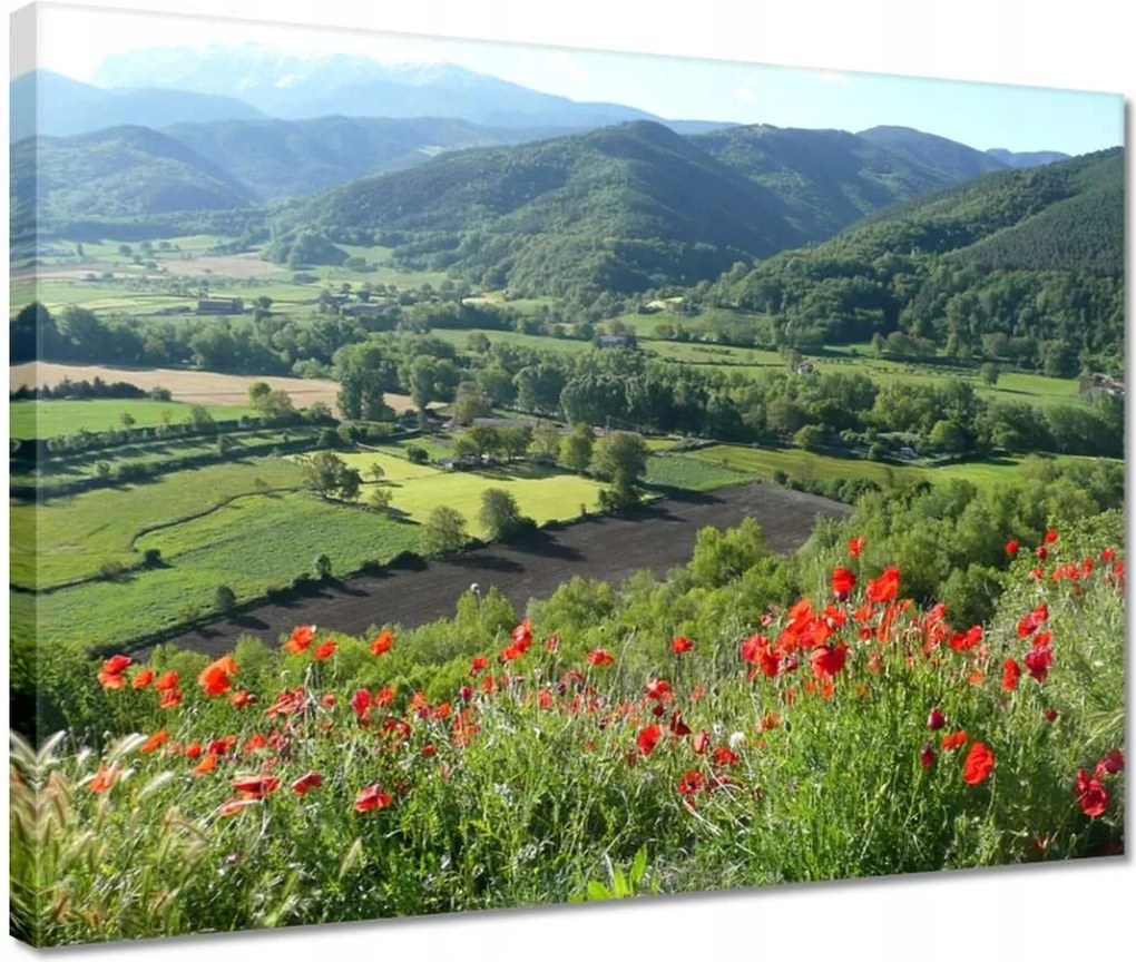 Vászonkép 40x30 Virágos kilátás a hegyekben